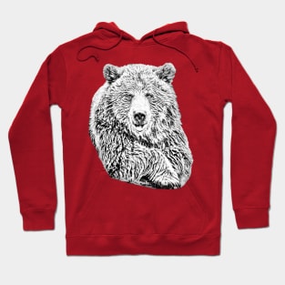 Brown Bear Hoodie